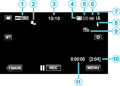 C3Z_Indications Video Recording